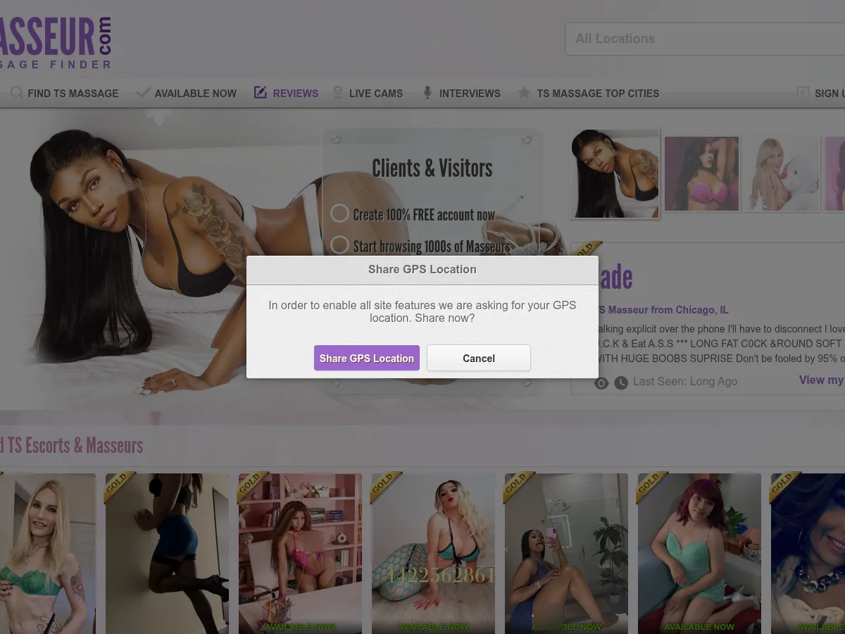 A heavily blurred, censored capture of the TSMasseur homepage — only soft shapes are visible, no explicit or readable content